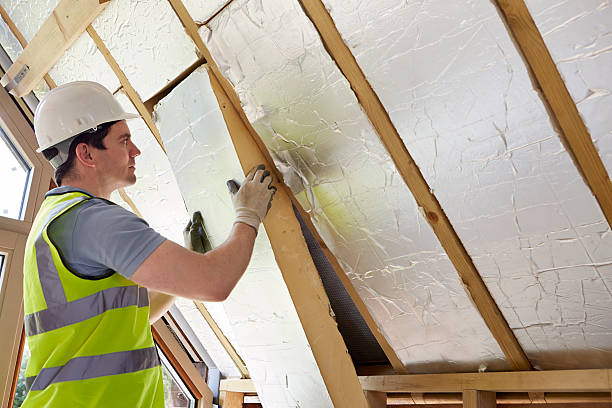 Best Types of Insulation in Frazier Park, CA
